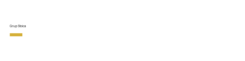 Grup Stoica logo